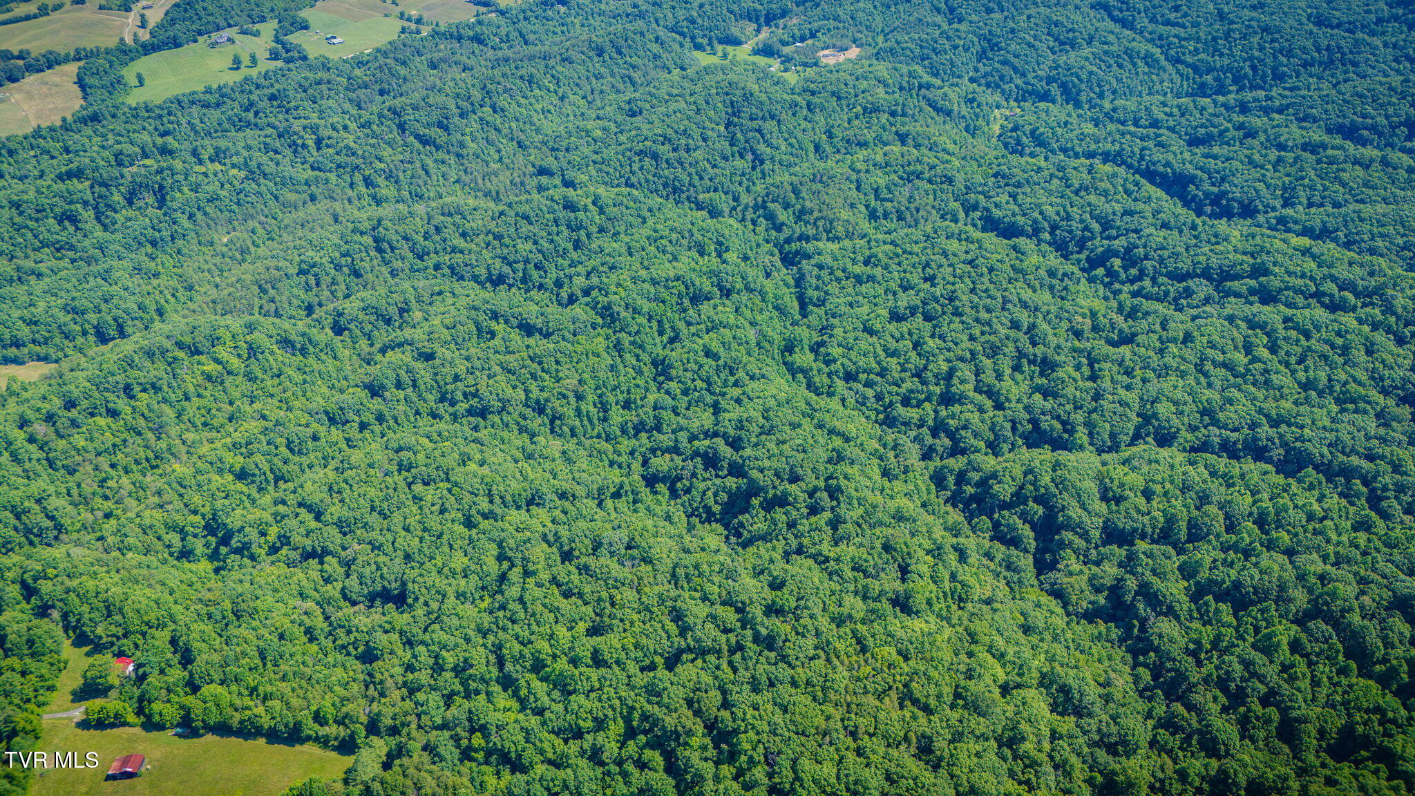 115 Bell Road Rogersville, TN 37857 - Photo 50 of 50 104