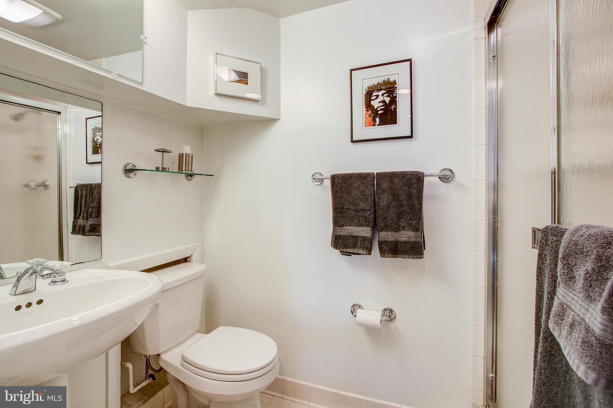 7013 Exfair Road Bethesda, MD 20814 - Photo 28 of 31 Lower Level full bath