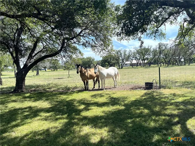 $398,000 | 996 County Road 421, Evant, TX 76525