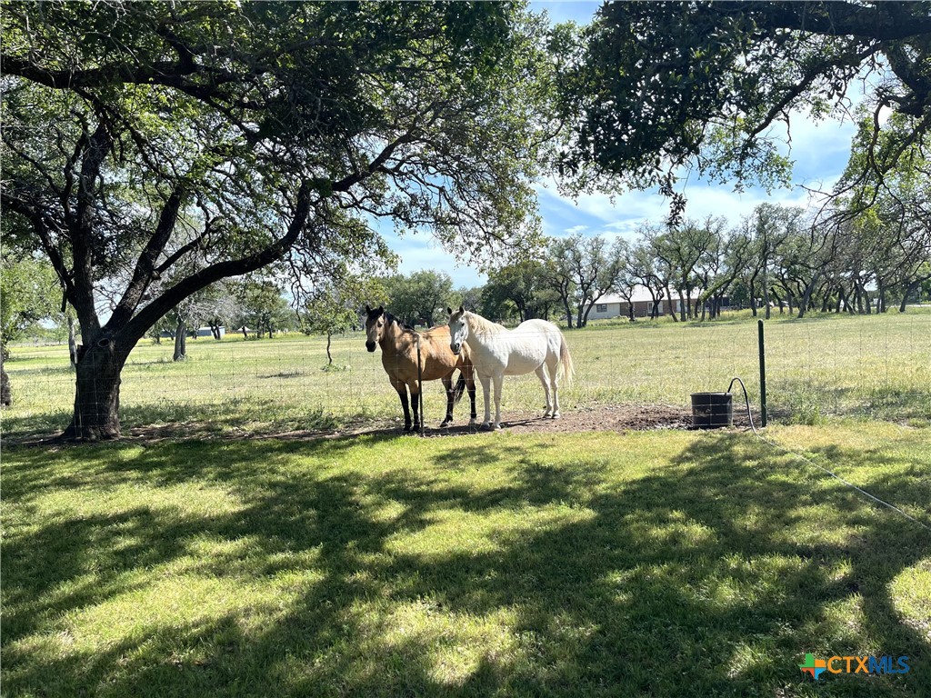 996 County Road 421 Evant, TX 76525 - Photo 47 of 48