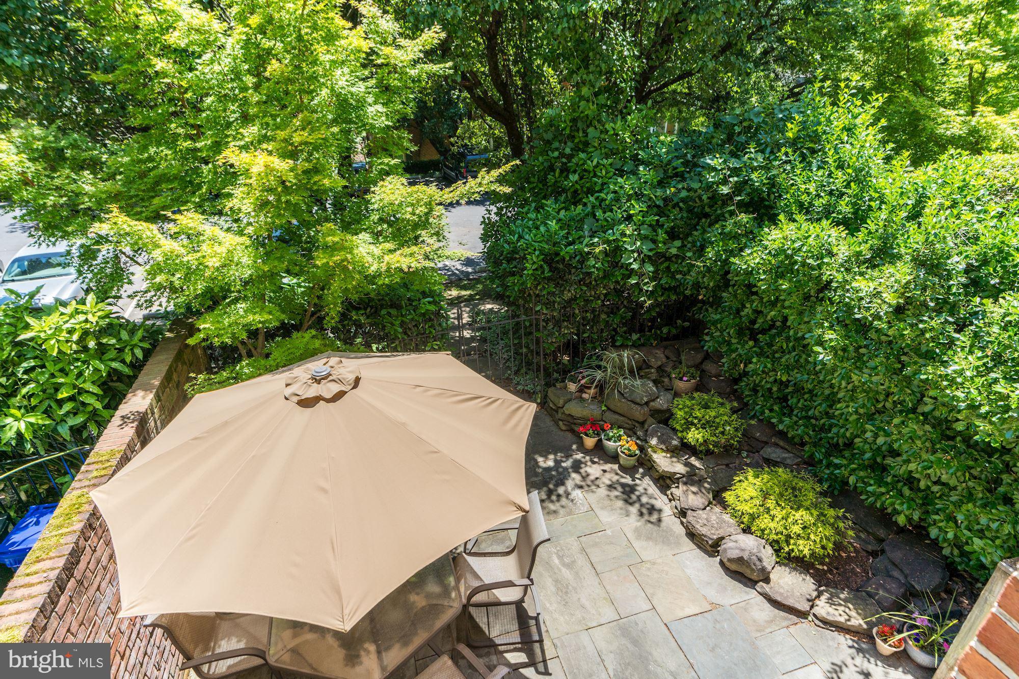 4519 4th Road North Arlington, VA 22203 - Photo 13 of 32 Juliet balcony off living room looks onto patio