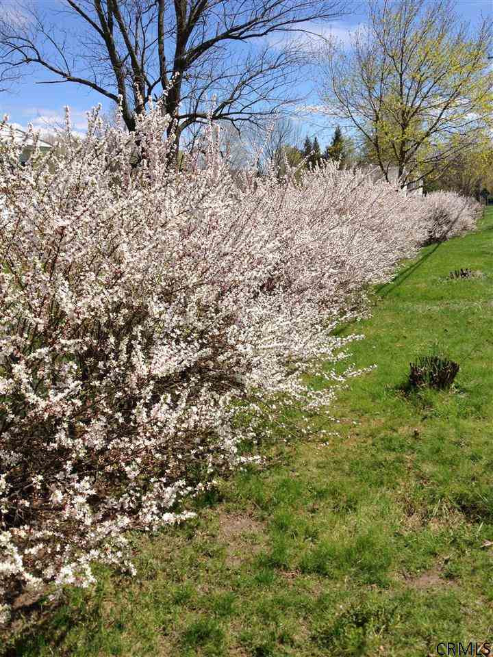 6 Content Farm Road Cambridge, NY 12816 - Photo 24 of 25 Photo 24
