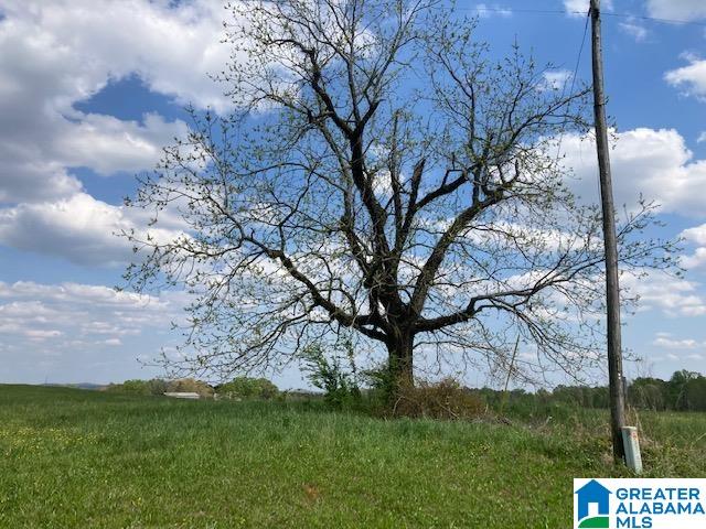 2001 Oaks Chapel Road, Unit 12 51 AC Goodwater, AL 35072 - Photo 3 of 5