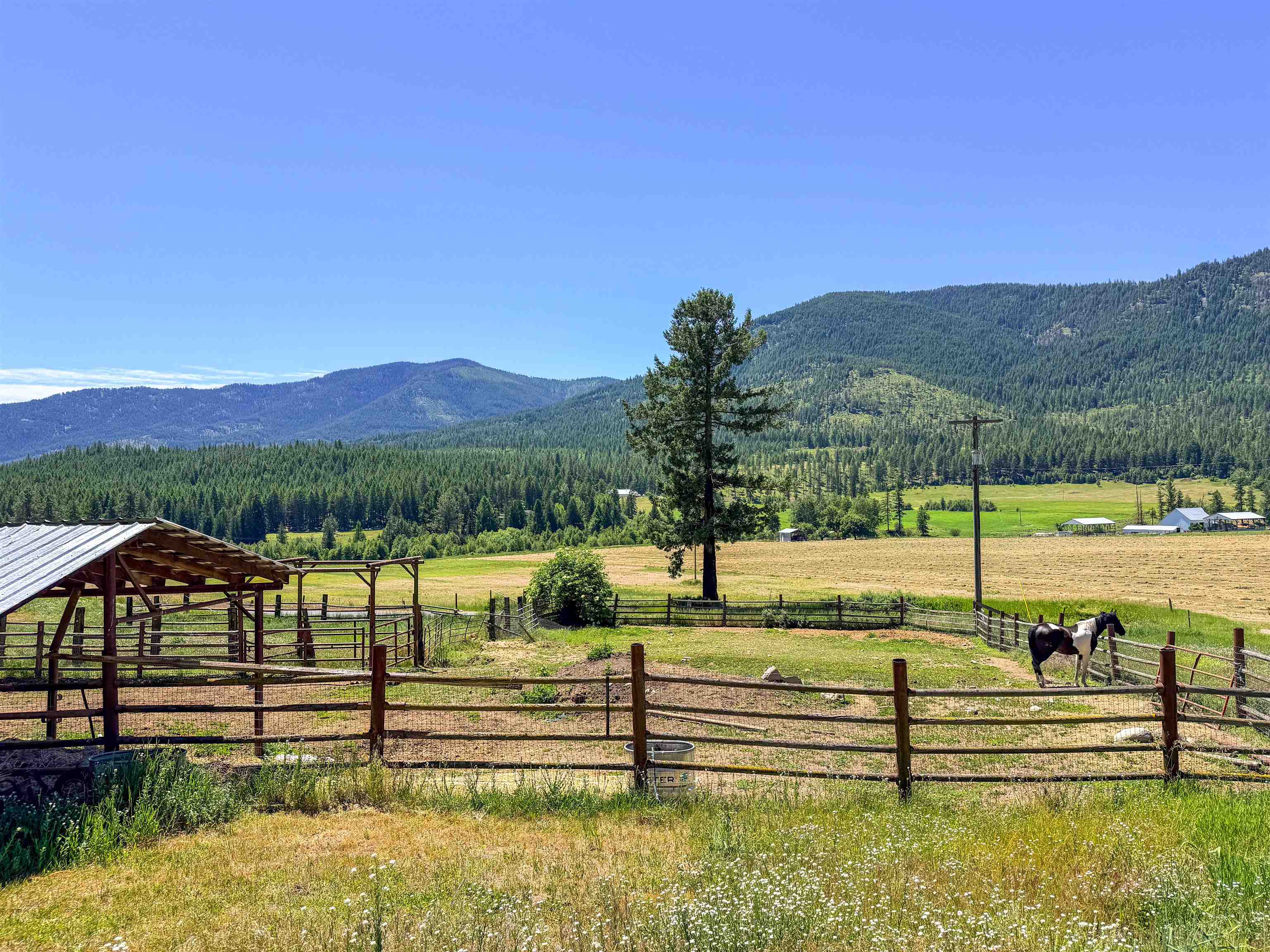 2098 Marble Valley-Basin Road Addy, WA 99101 - Photo 42 of 50
