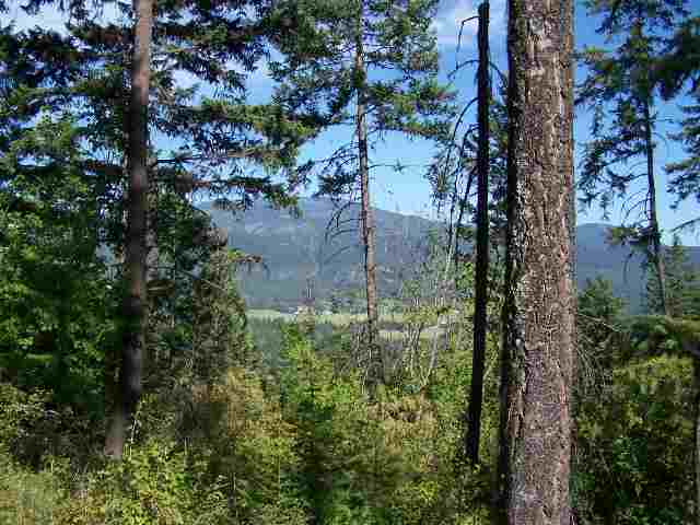 L-2 Greenhouse Road Ione, WA 99139 - Photo 3 of 5