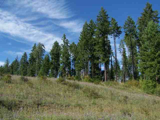 L-2 Greenhouse Road Ione, WA 99139 - Photo 4 of 5
