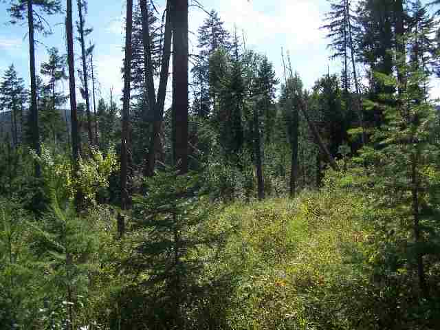 L-2 Greenhouse Road Ione, WA 99139 - Photo 5 of 5