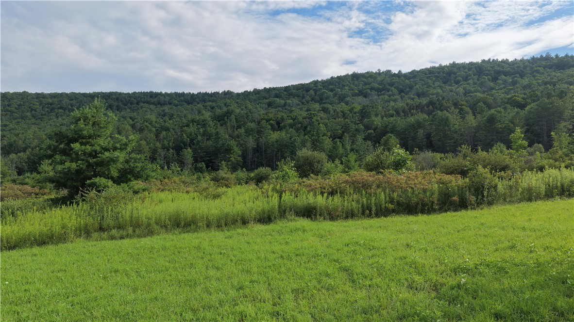 30 State Route Gilboa, NY 12076 - Photo 22 of 41 Gallery Image 22