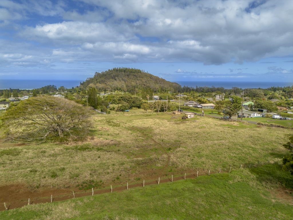 2020 Kokomo Road Haiku, HI 96708 - Photo 5 of 16 a view of an ocean