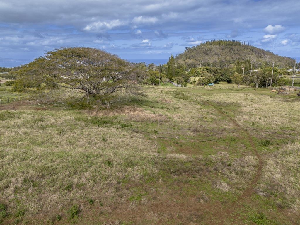 2020 Kokomo Road Haiku, HI 96708 - Photo 7 of 16 a view of a field with an ocean