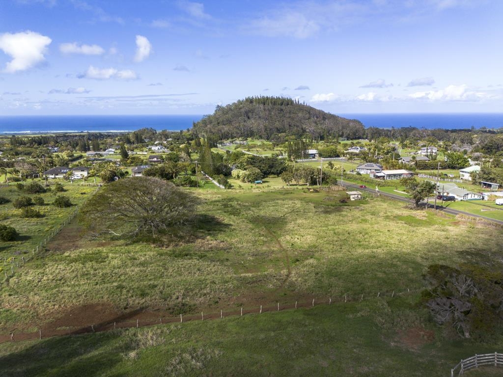 2020 Kokomo Road Haiku, HI 96708 - Photo 10 of 16 a view of an ocean