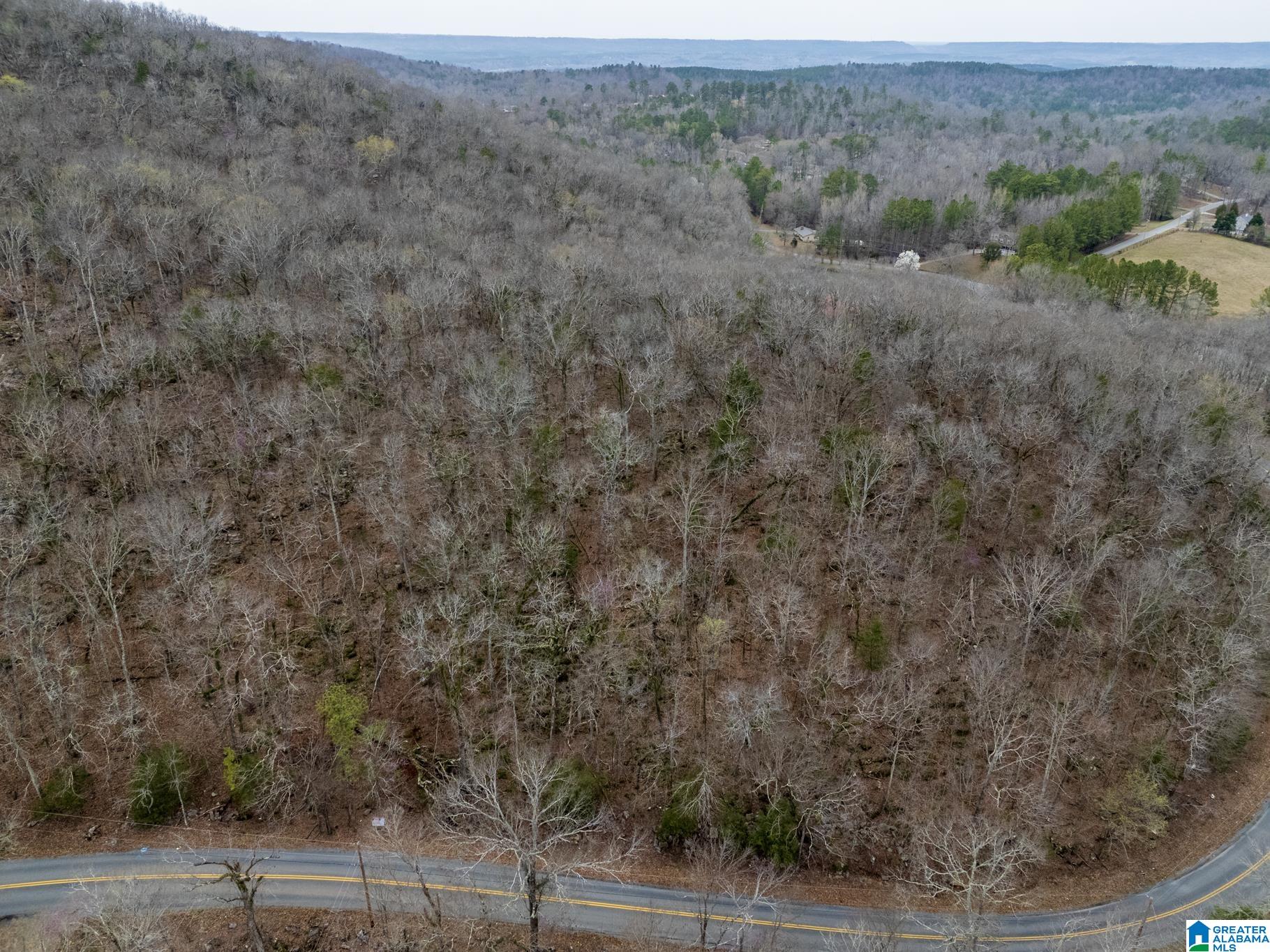 0 Valley Trail, Unit 496 Warrior, AL 35180 - Photo 13 of 31