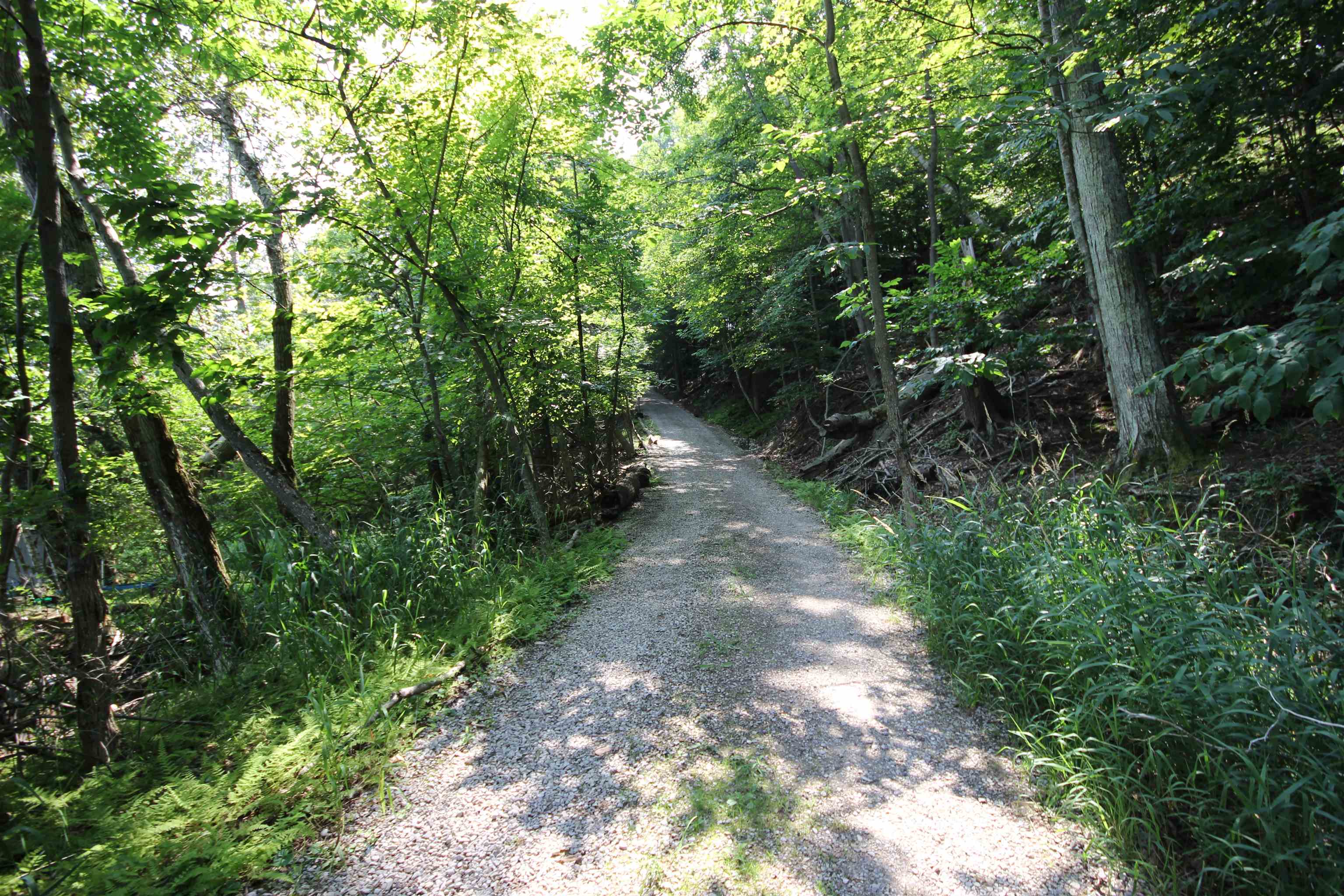 0 Deer Ridge Trail Beulah, MI 49617 - Photo 11 of 30 Gallery Image 11