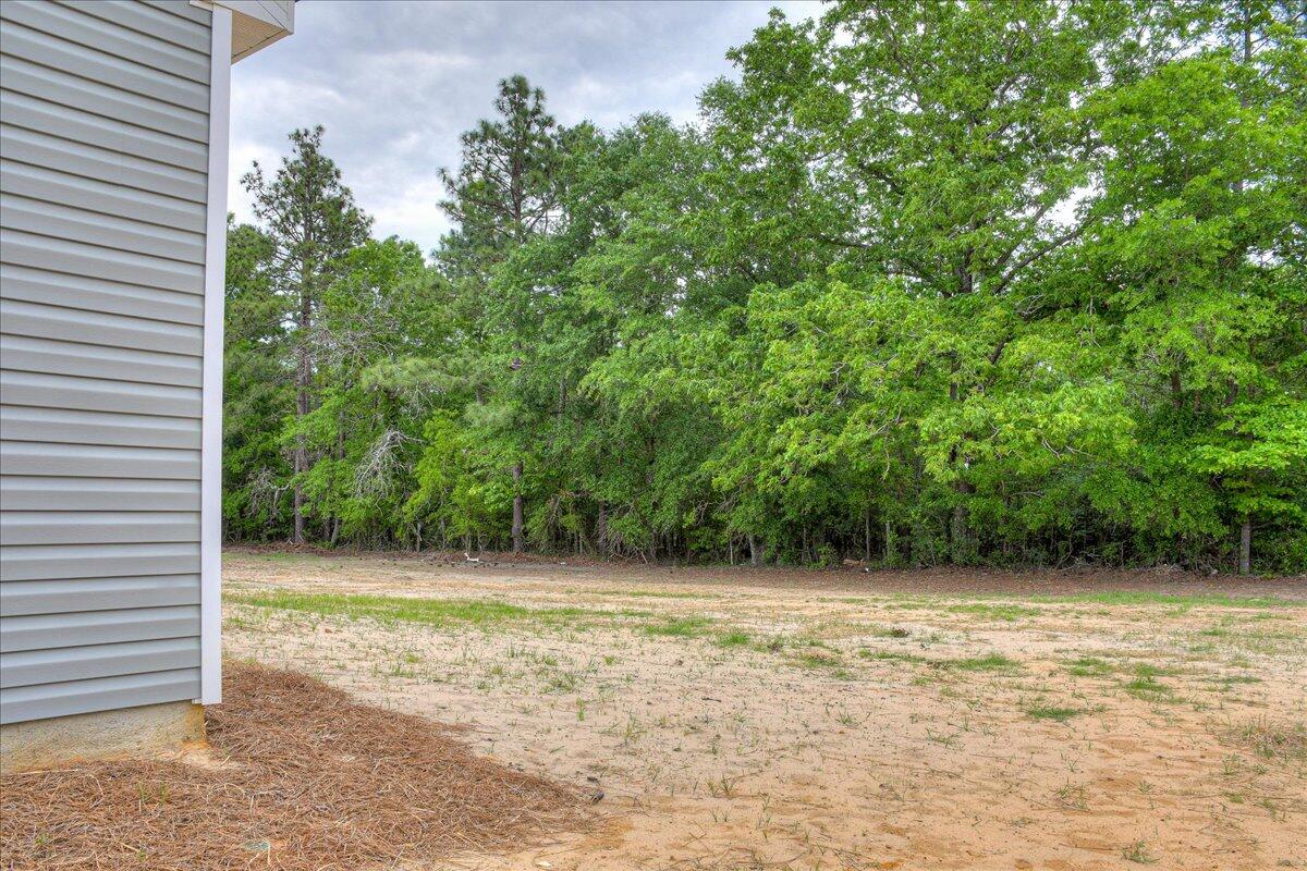 4189 Fringetree Loop New Ellenton, SC 29809 - Photo 30 of 33 30-130
