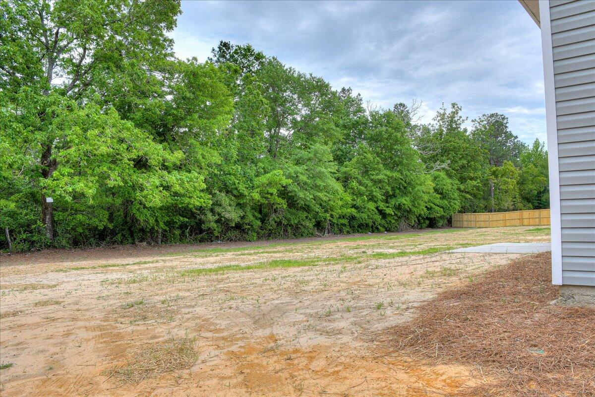 4189 Fringetree Loop New Ellenton, SC 29809 - Photo 33 of 33 33-133