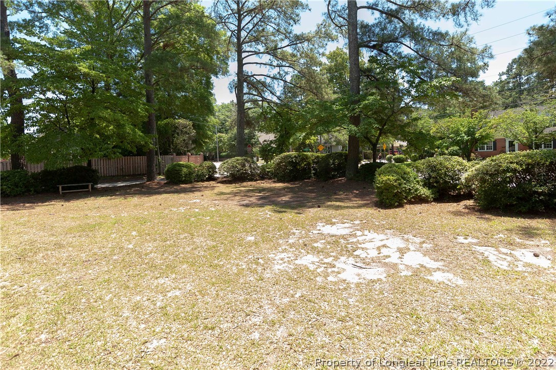 1904 Morganton Road Fayetteville, NC 28305 - Photo 5 of 45 a view of backyard with outdoor space