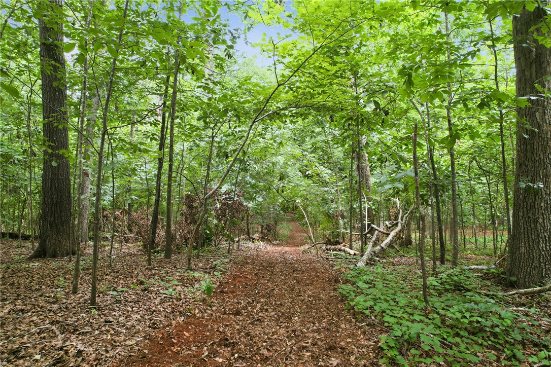 0 Southern Acres Road Anderson, SC 29625 - Photo 6 of 27 Discover a tranquil wooded parcel with a winding path, perfect for nature lovers.