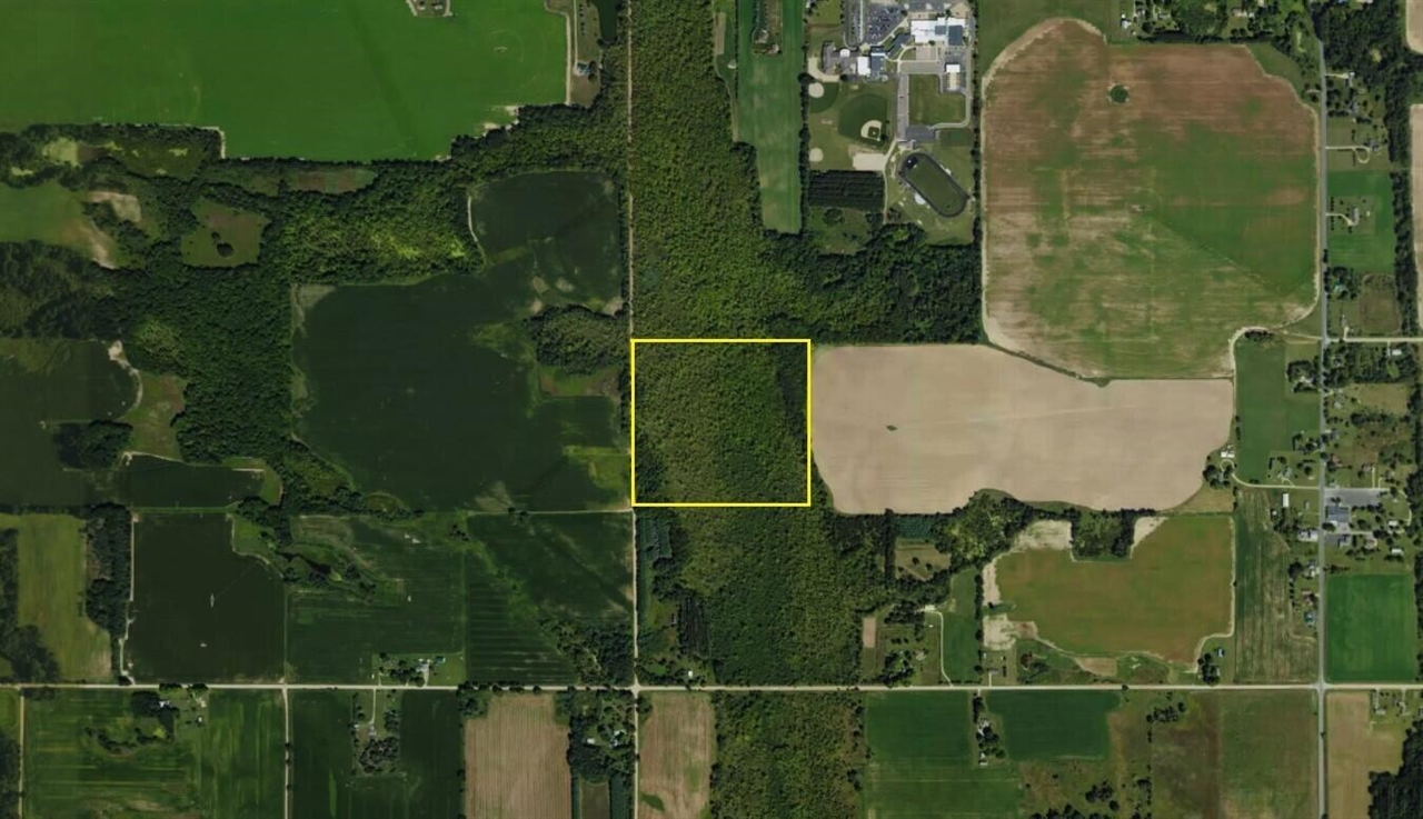 Peoples Road Blanchard, MI 49310 - Photo 25 of 26