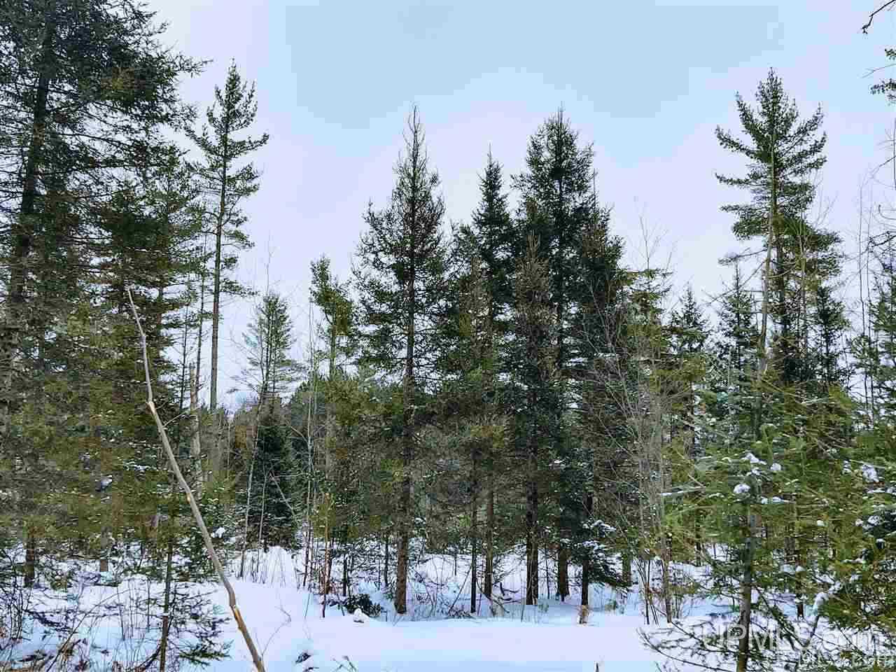 Tbd Forest Hwy 16 Road Iron River, MI 49935 - Photo 41 of 49