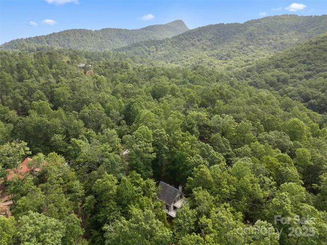 a view of a mountain range with lush green forest