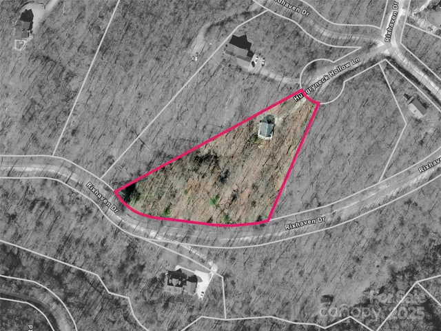 a room with a book shelf and a potted plant