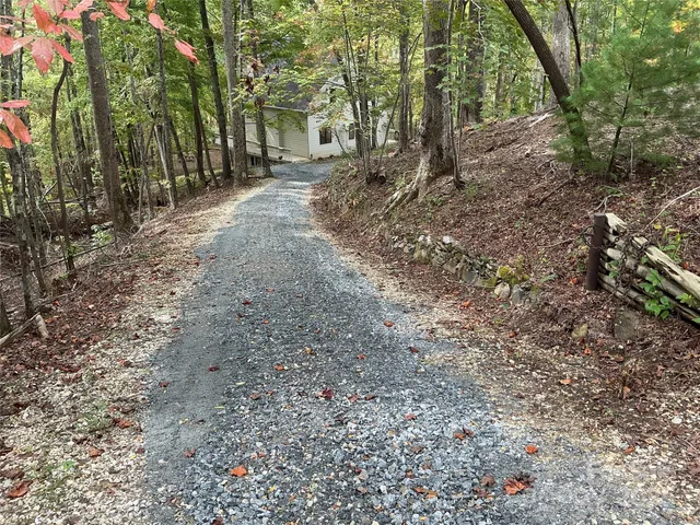 a view of a forest with trees