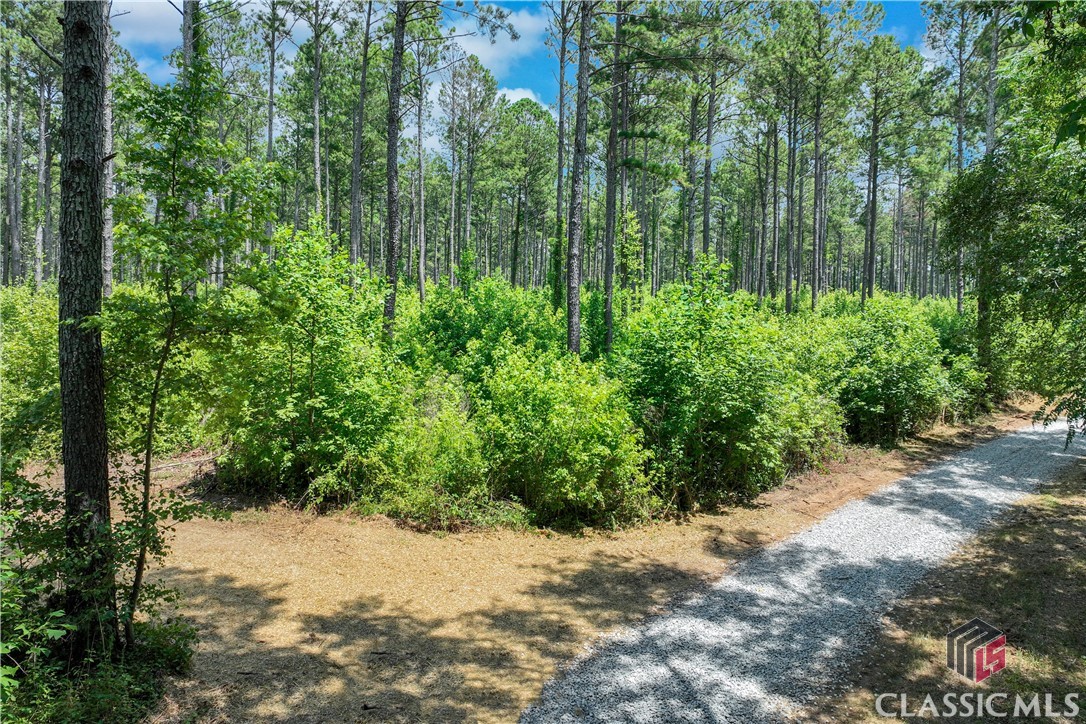 1425 Hargrove Lake Road Winterville, GA 30683 - Photo 2 of 7 Gallery Image 2
