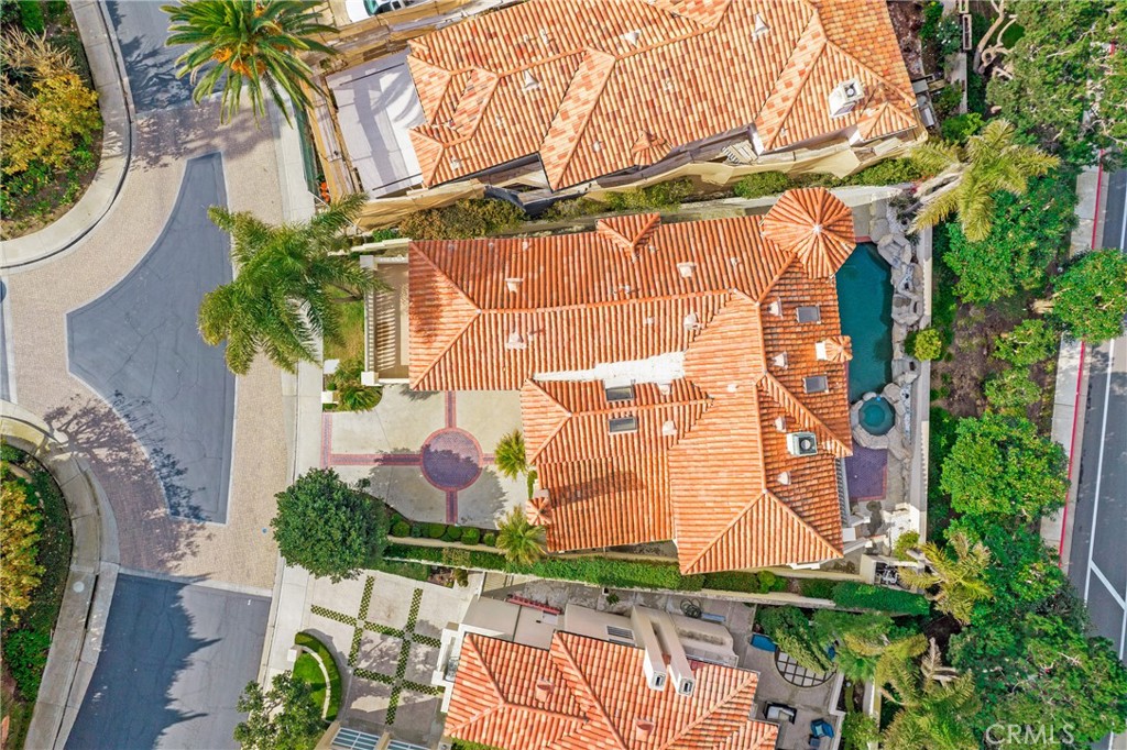 82 Ritz Cove Drive Dana Point, CA 92629 - Photo 48 of 48 a picture of plants