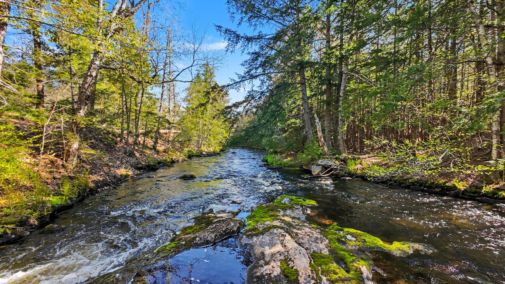 175 Hadley Road Jaffrey, NH 03452 - Photo 58 of 60