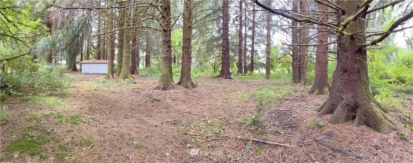 1941 Calawah Way Forks, WA 98331 - Photo 30 of 32 Gallery Image 30