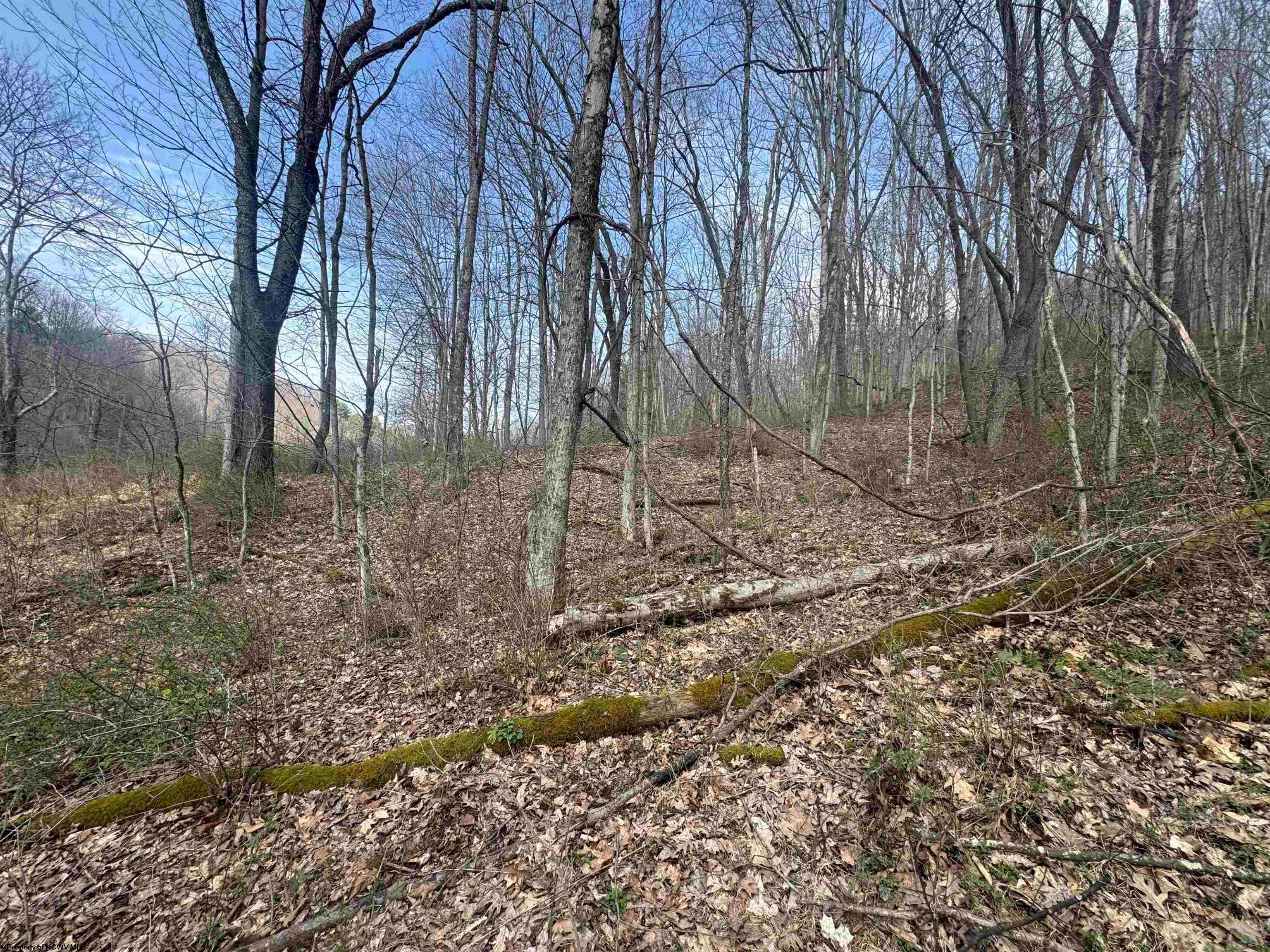 Lot 4 Jesse's Run Mannington, WV 26582 - Photo 6 of 6 Gallery Image 6