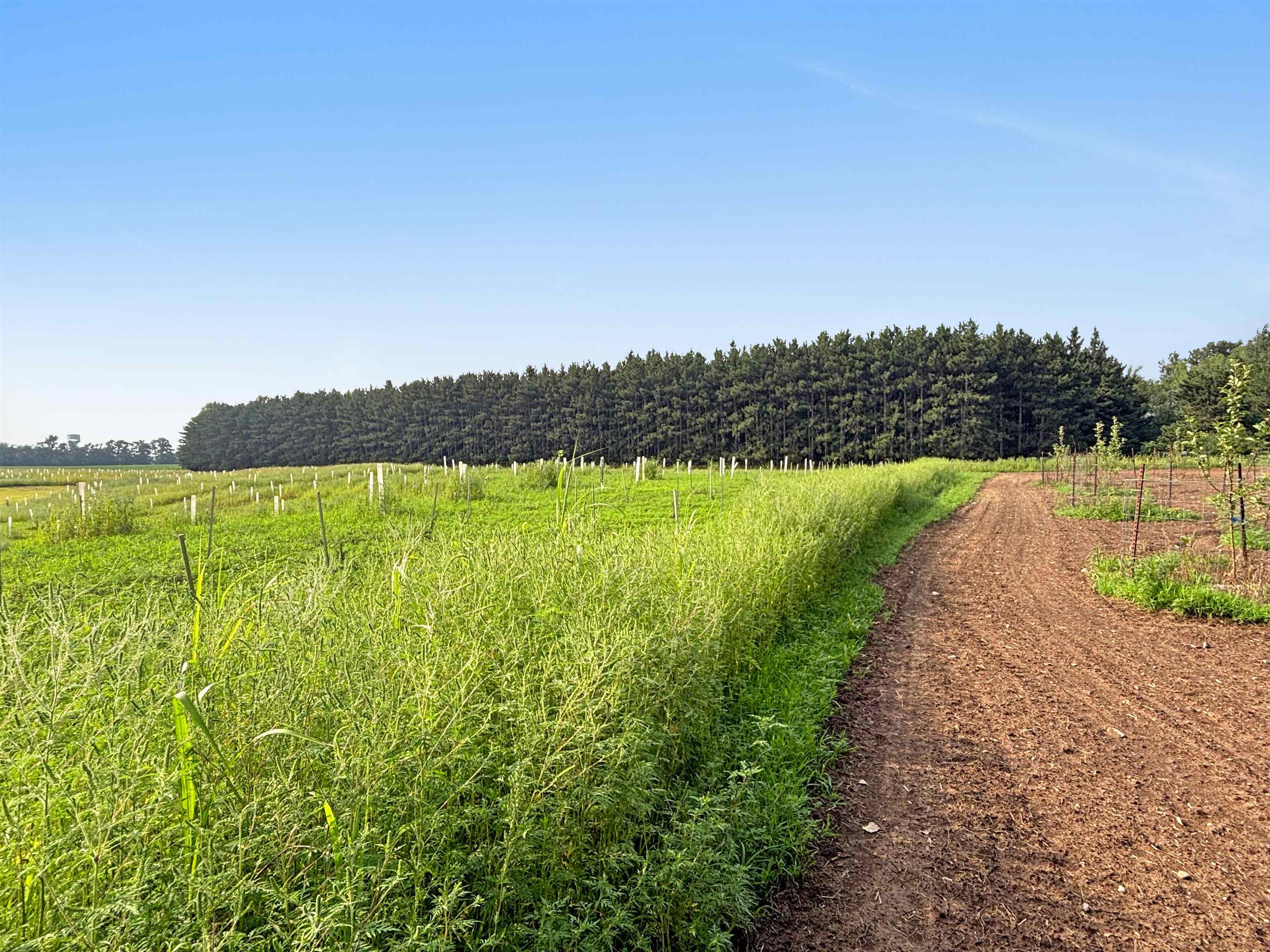 4021 Woodland Road, Unit 2 Green Bay, WI 54313 - Photo 12 of 19