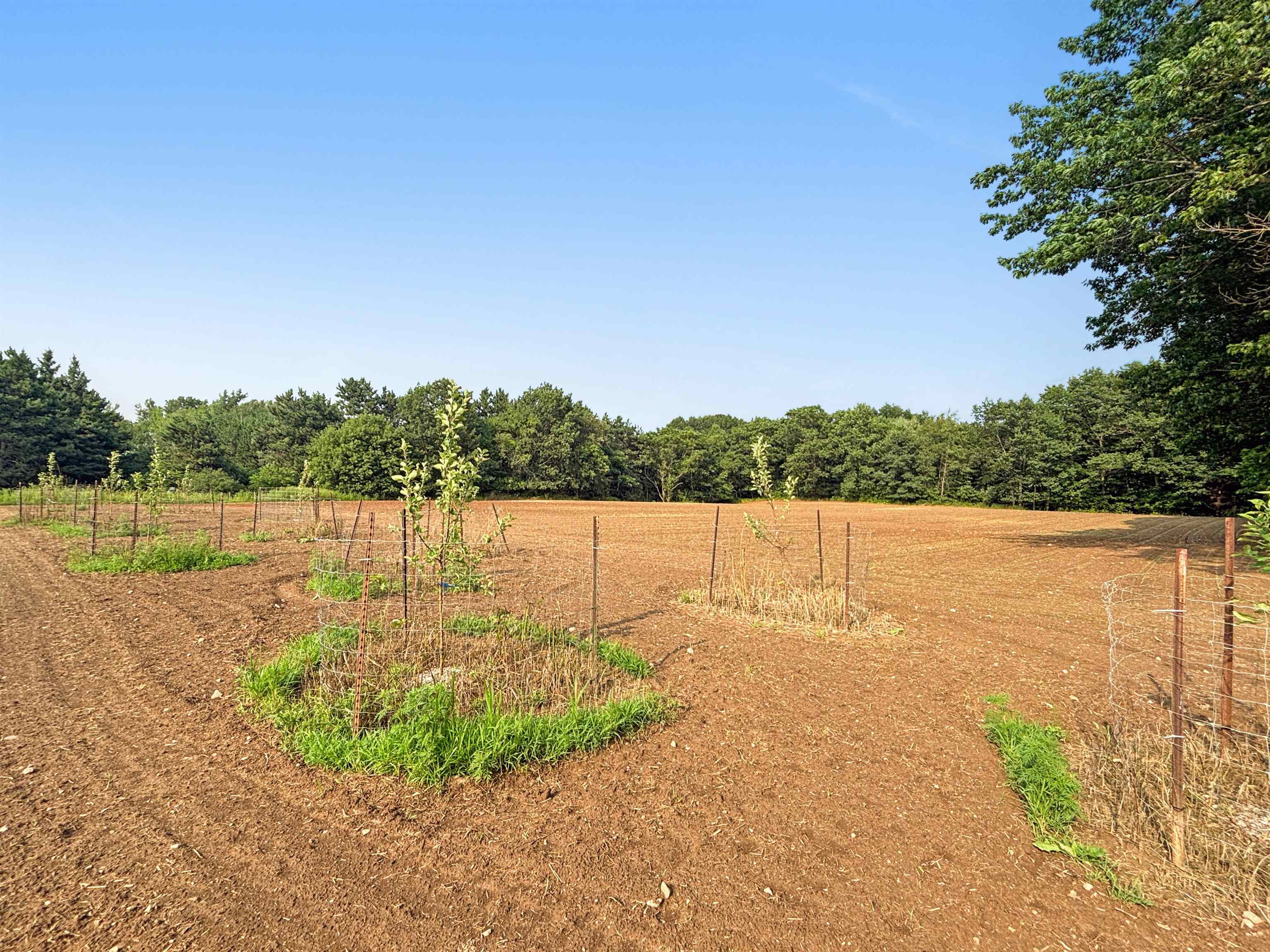 4021 Woodland Road, Unit 2 Green Bay, WI 54313 - Photo 9 of 19