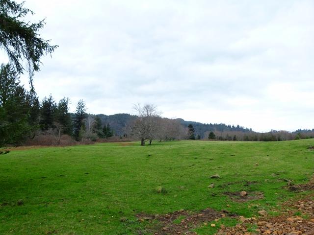 Tl#1008 Bel Air Road Cloverdale, OR 97112 - Photo 9 of 20 P1080350