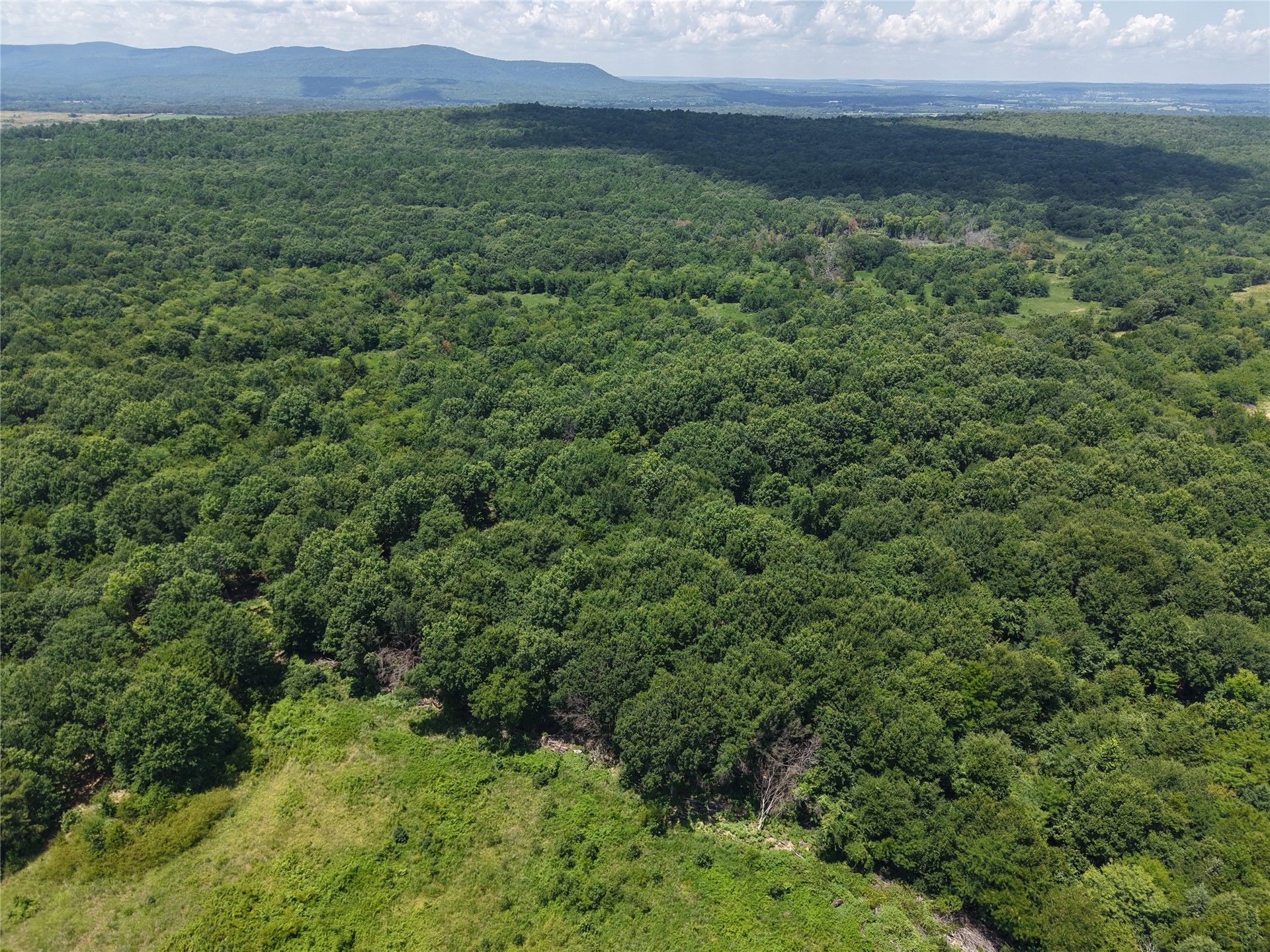 33594 Johnson Shady Point Shady Point, OK 74956 - Photo 14 of 18 Expansive treed acreage with distant mountain scenery