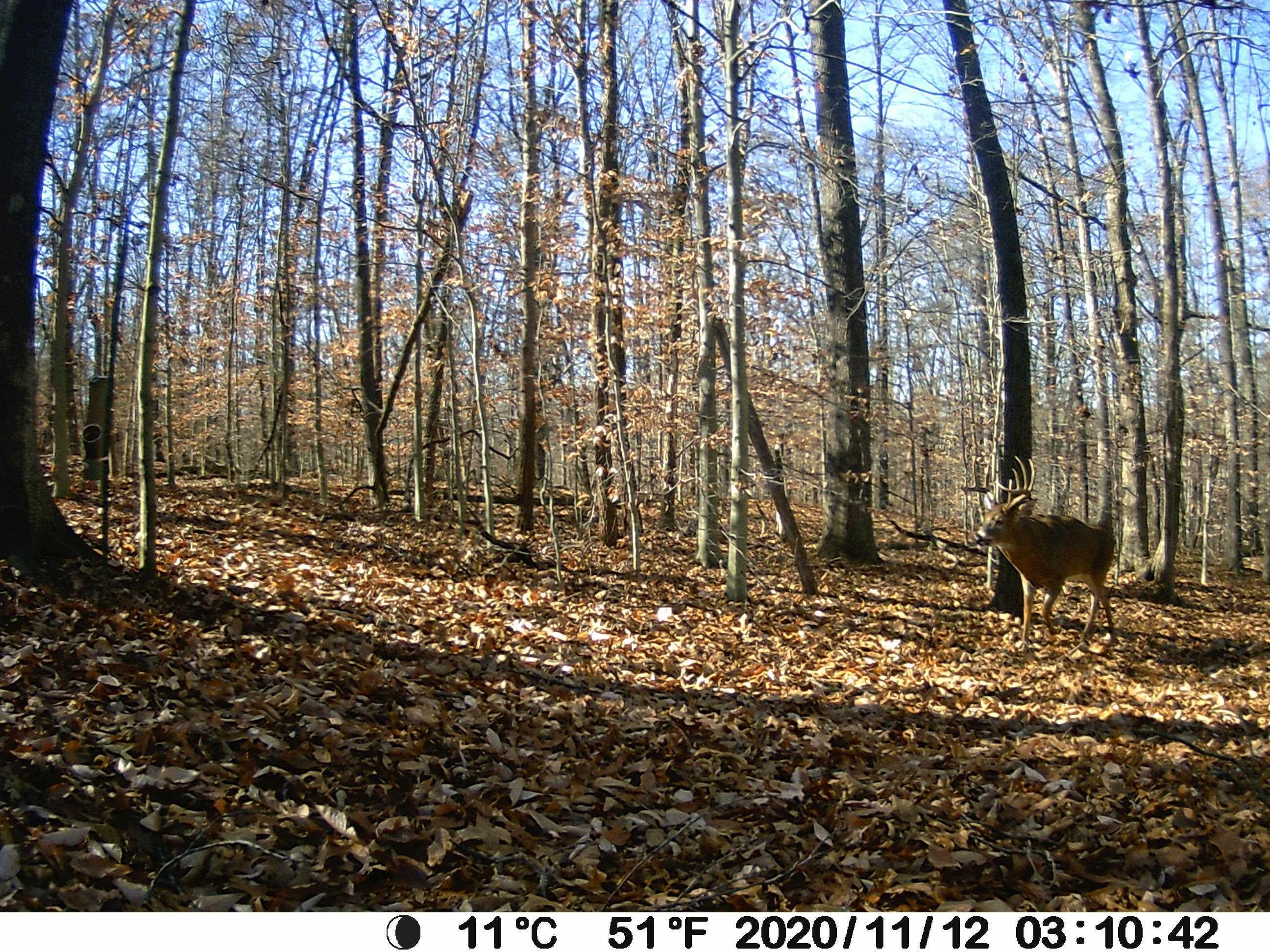 0 Pinewood Springville, IN 47462 - Photo 16 of 18