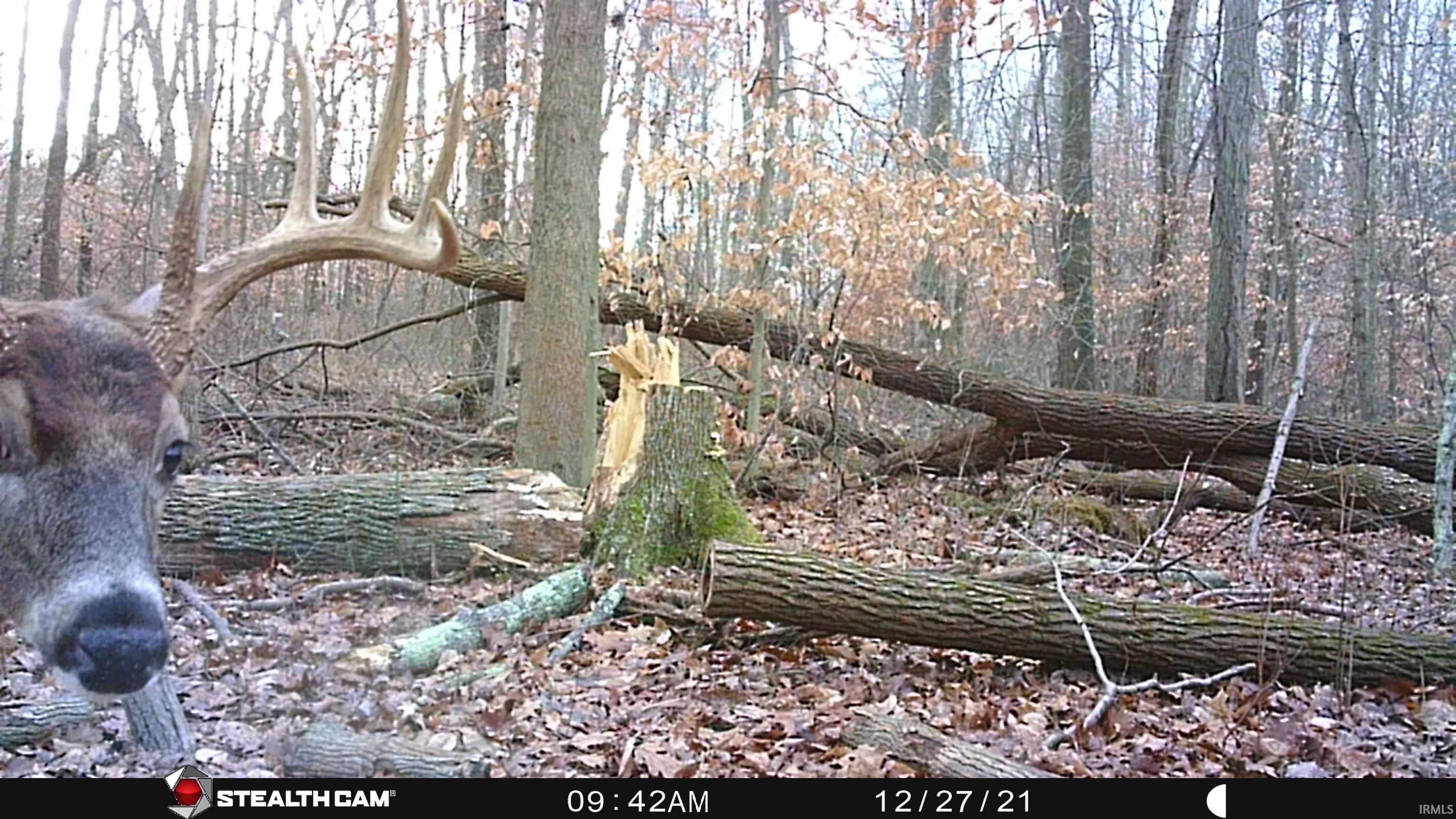 0 Pinewood Springville, IN 47462 - Photo 17 of 18