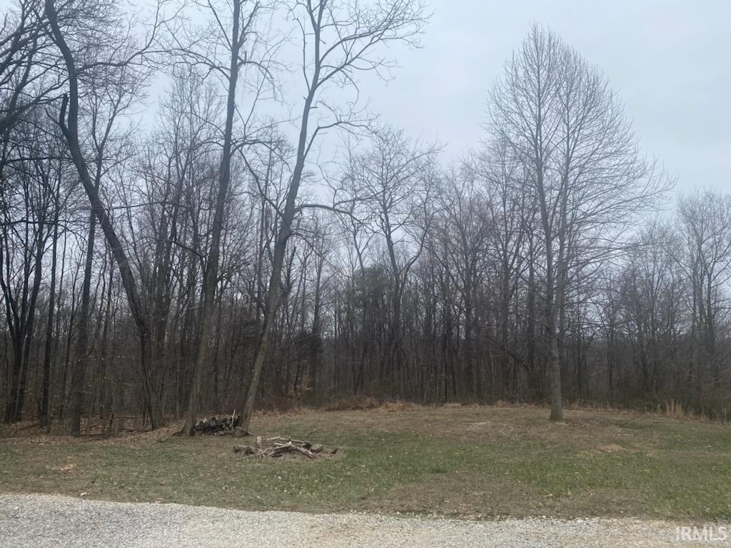 0 Pinewood Springville, IN 47462 - Photo 9 of 18