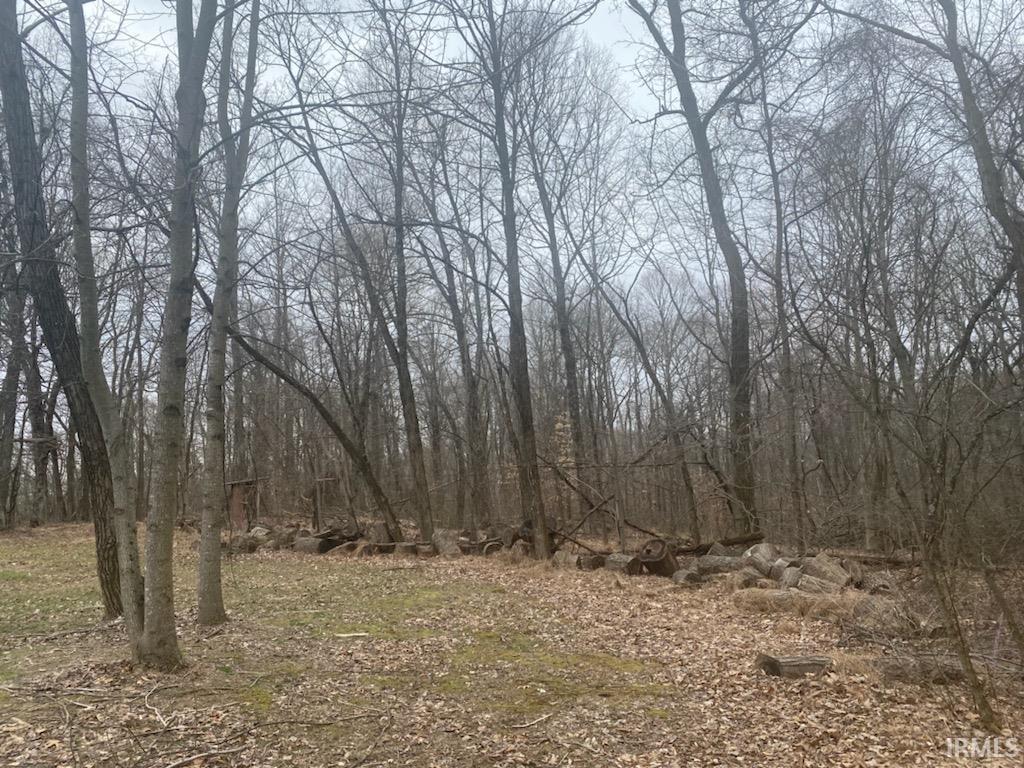 0 Pinewood Springville, IN 47462 - Photo 10 of 18
