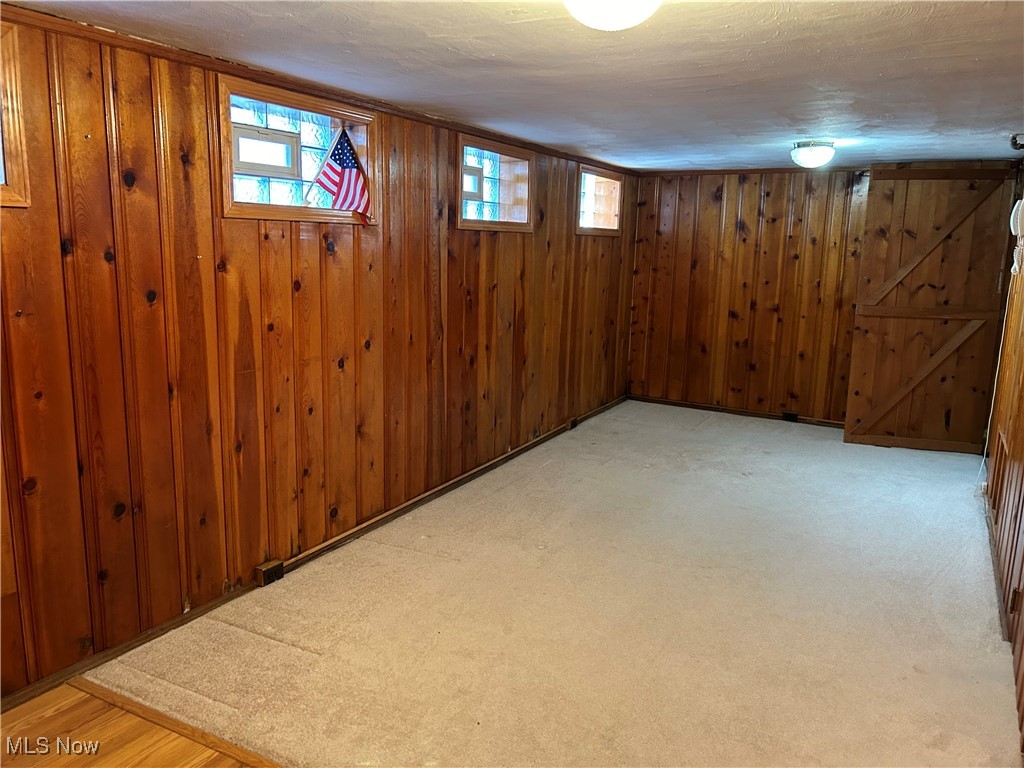 1094 Plainfield Road Cleveland, OH 44121 - Photo 31 of 41 Basement with light wood-type flooring, plenty of natural light, and wood walls