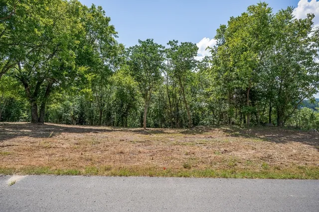 a view of a yard with a tree