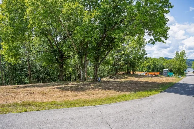 a view of swimming pool with a yard
