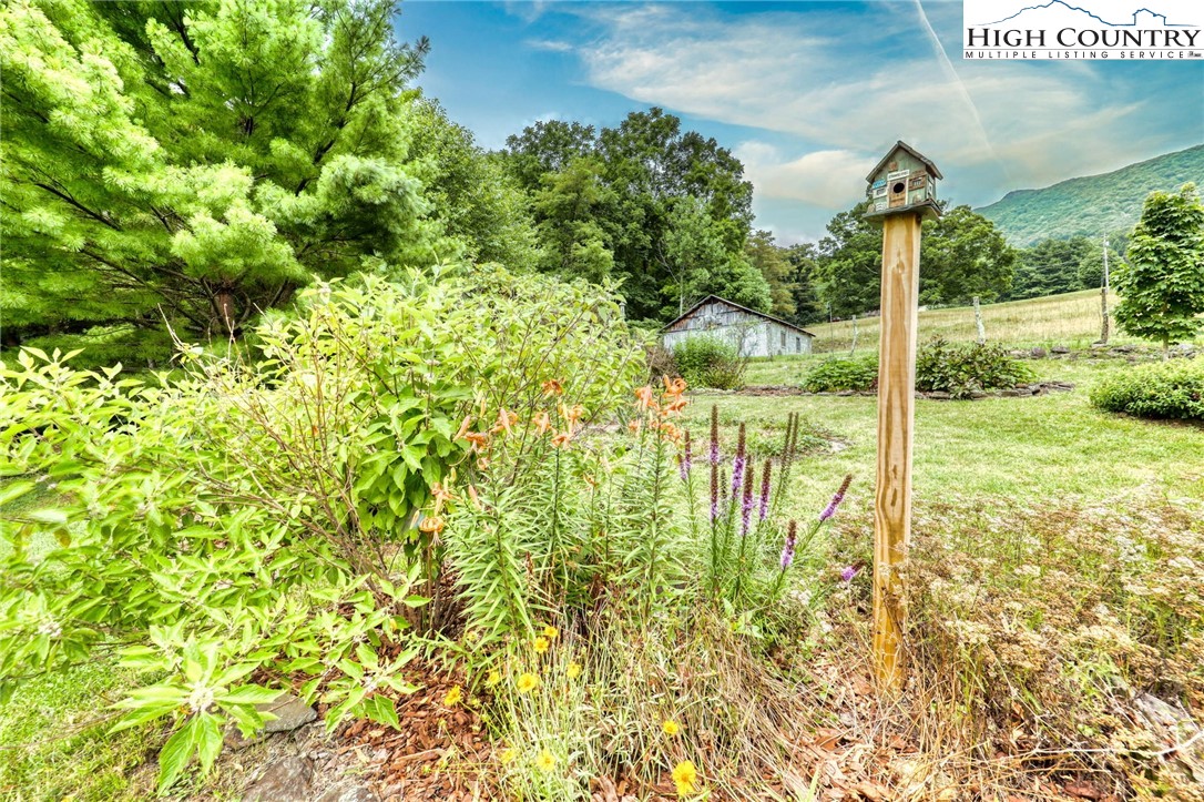 164 Lola Perry Road Zionville, NC 28698 - Photo 47 of 49 Gallery Image 47