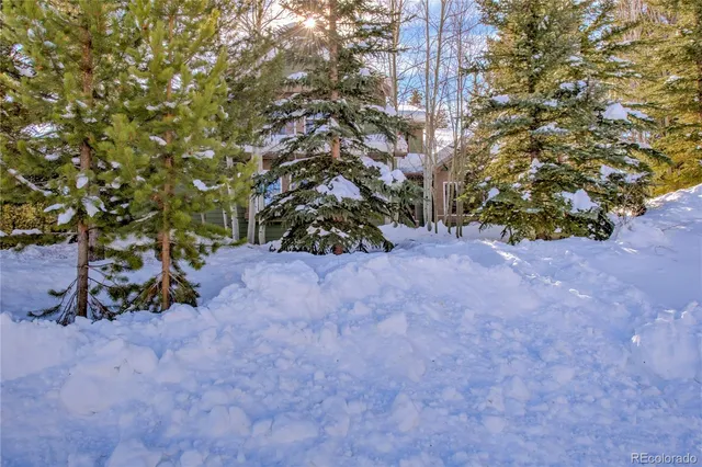 a view of a tree with a tree