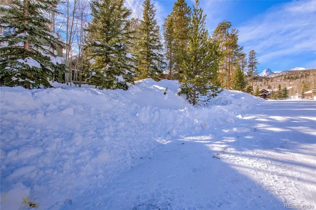 a view of road view with large trees