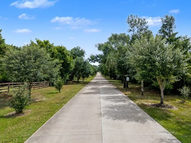a view of a street with a tree in the background