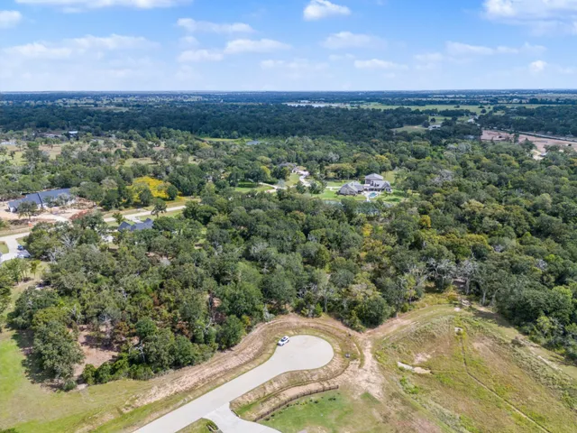 a view of a city with lush green forest