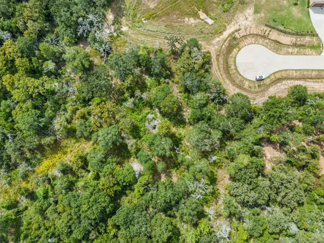 a aerial view of a house with a yard and lake view