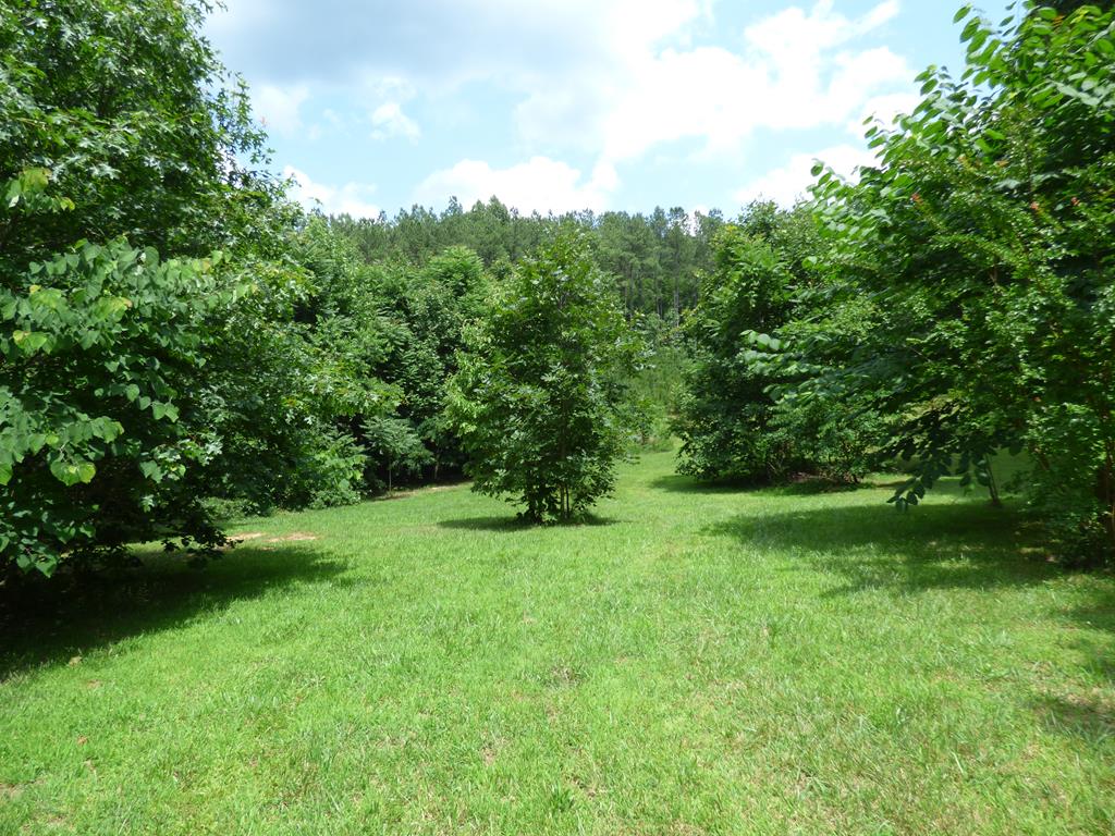 234 Scotts Bottom Road Dillwyn, VA 23936 - Photo 26 of 28 Gallery Image 26