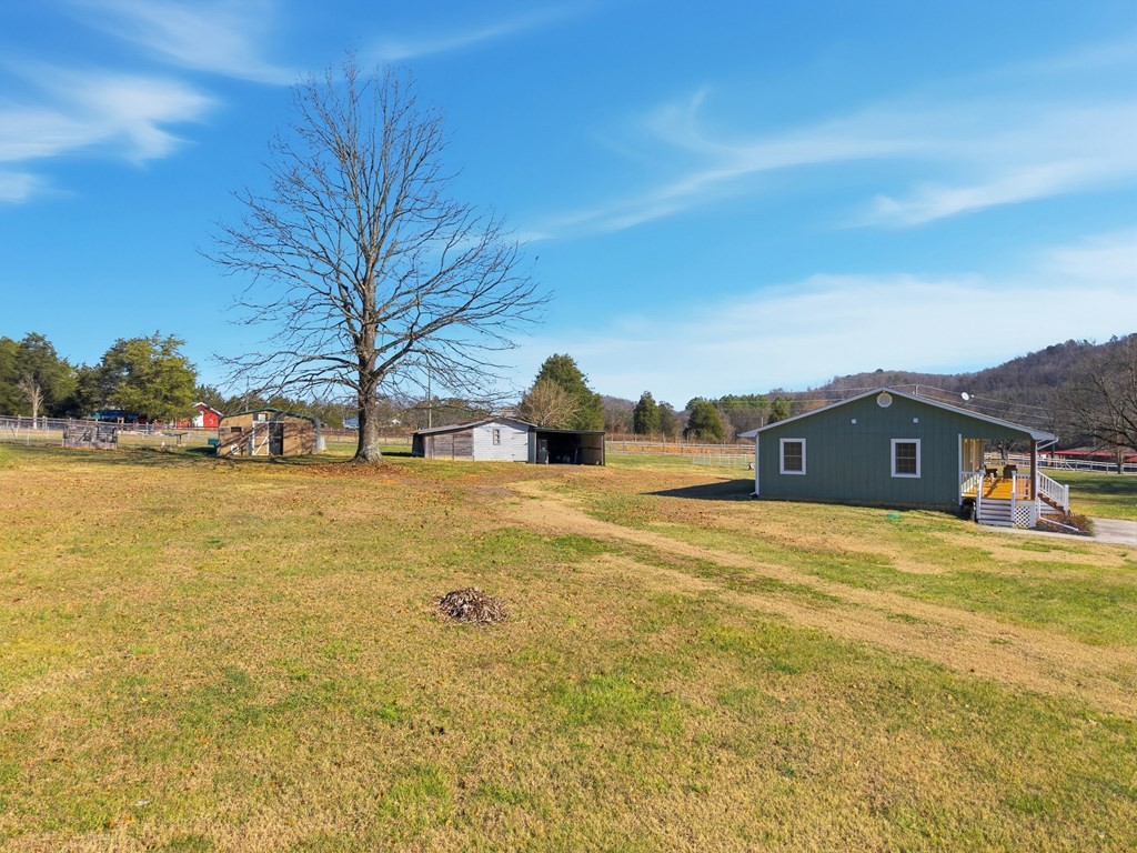 114 Viars Road Philadelphia, TN 37846 - Photo 36 of 45 a front view of house with yard and trees